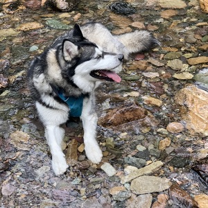 Fundraising Page: Rebecca K Smith